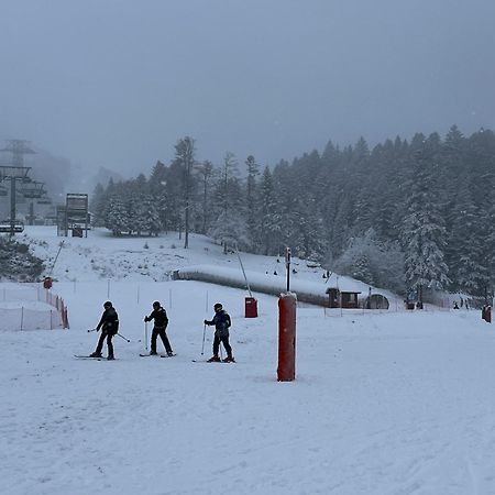 Gite A La Ferme Au Coeur De L'Auvergne Saint-Hippolyte  Zewnętrze zdjęcie
