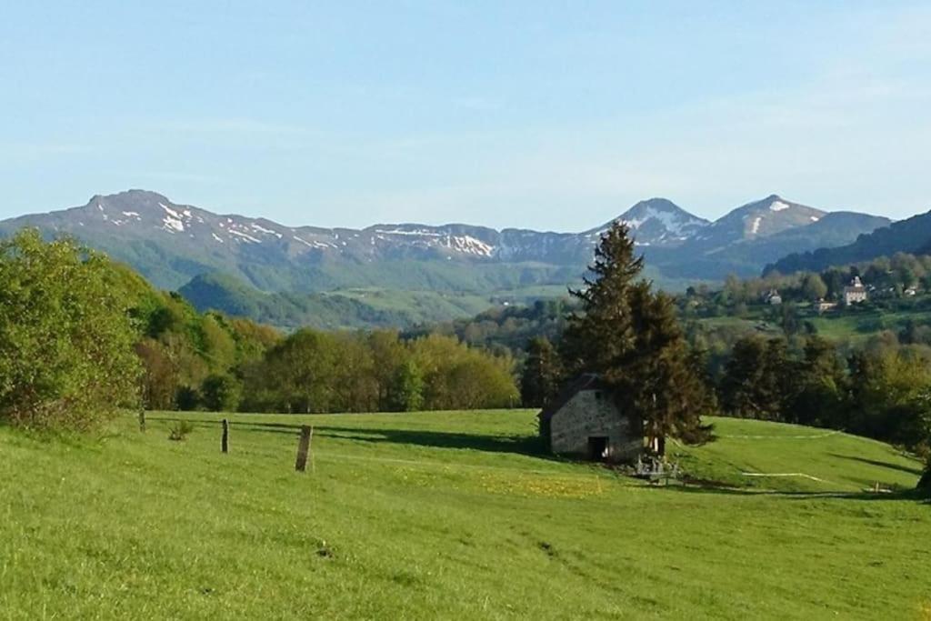Gite A La Ferme Au Coeur De L'Auvergne Saint-Hippolyte  Zewnętrze zdjęcie