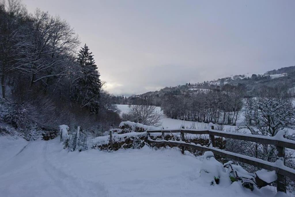 Gite A La Ferme Au Coeur De L'Auvergne Saint-Hippolyte  Zewnętrze zdjęcie